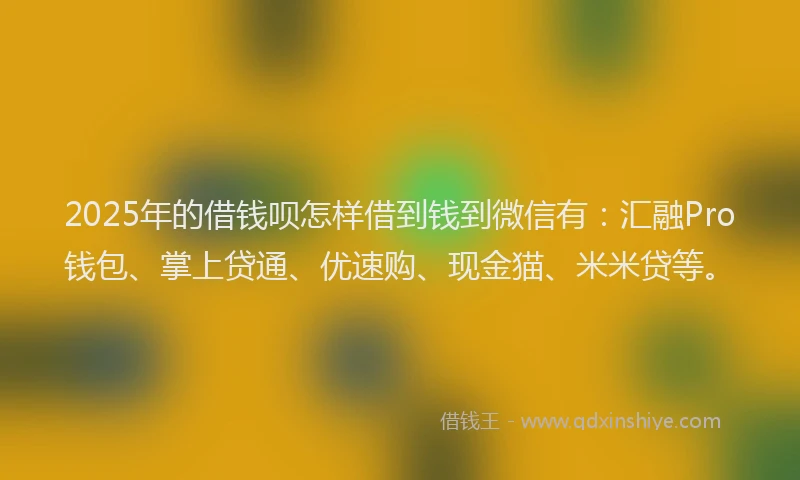 2025年的借钱呗怎样借到钱到微信有：汇融Pro钱包、掌上贷通、优速购、现金猫、米米贷等。