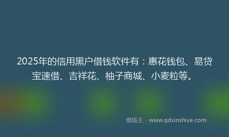 2025年的信用黑户借钱软件有：惠花钱包、易贷宝速借、吉祥花、柚子商城、小麦粒等。