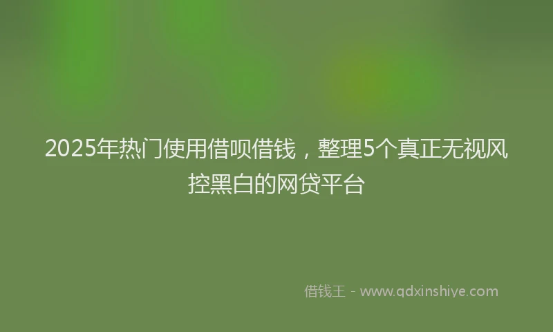 2025年热门使用借呗借钱，整理5个真正无视风控黑白的网贷平台