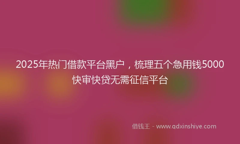 2025年热门借款平台黑户，梳理五个急用钱5000快审快贷无需征信平台