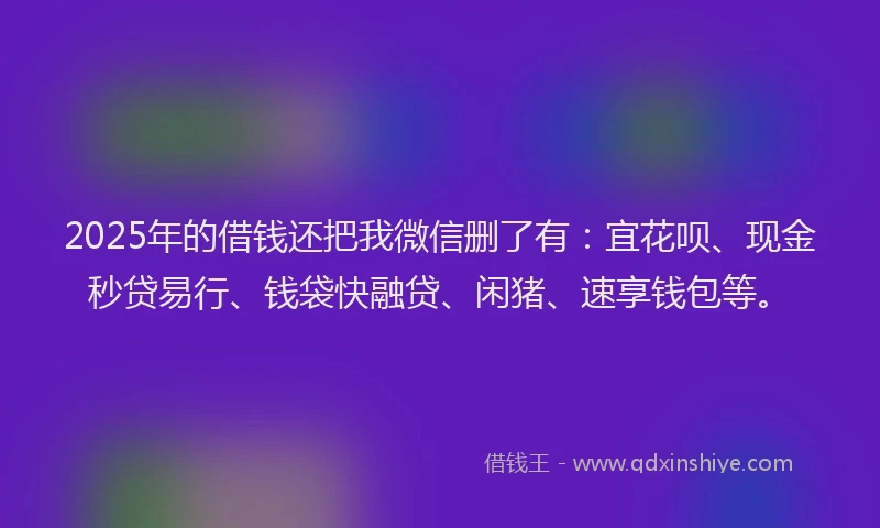 2025年的借钱还把我微信删了有：宜花呗、现金秒贷易行、钱袋快融贷、闲猪、速享钱包等。
