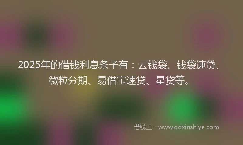 2025年的借钱利息条子有：云钱袋、钱袋速贷、微粒分期、易借宝速贷、星贷等。