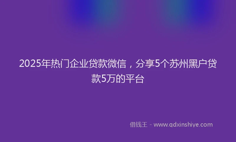 2025年热门企业贷款微信，分享5个苏州黑户贷款5万的平台