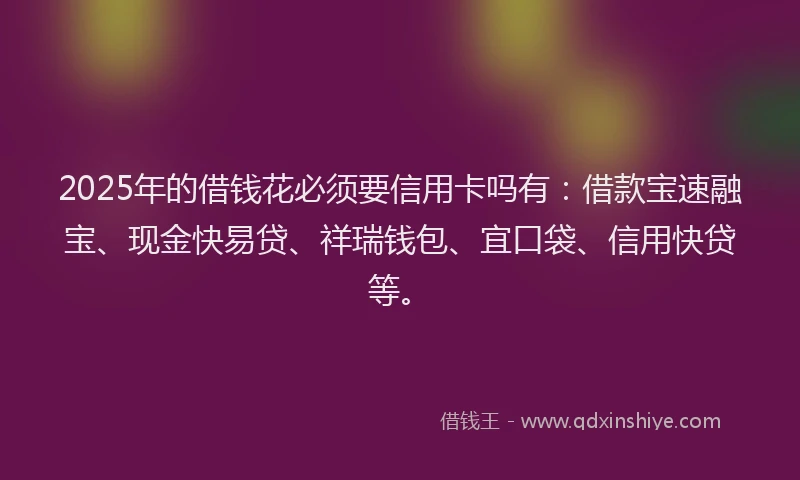 2025年的借钱花必须要信用卡吗有：借款宝速融宝、现金快易贷、祥瑞钱包、宜口袋、信用快贷等。