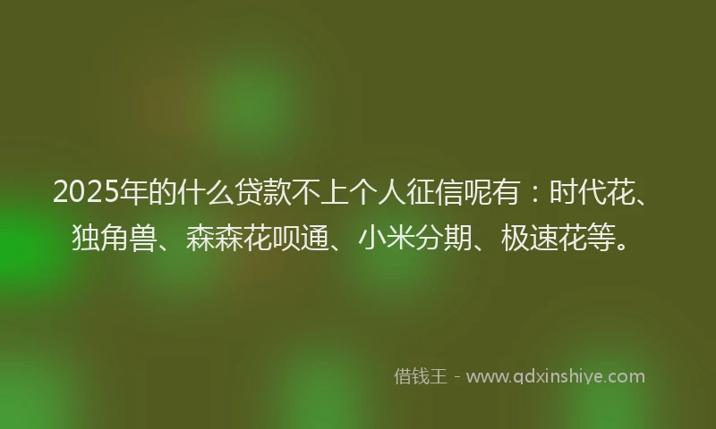 2025年的什么贷款不上个人征信呢有：时代花、独角兽、森森花呗通、小米分期、极速花等。