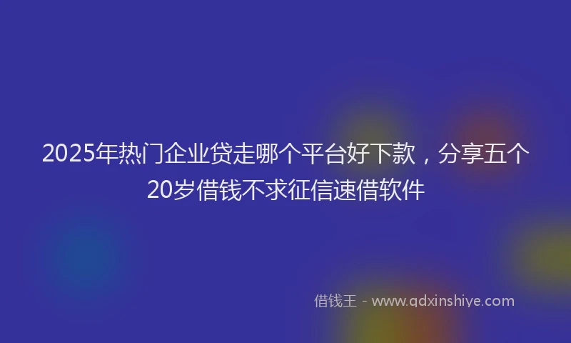 2025年热门企业贷走哪个平台好下款，分享五个20岁借钱不求征信速借软件