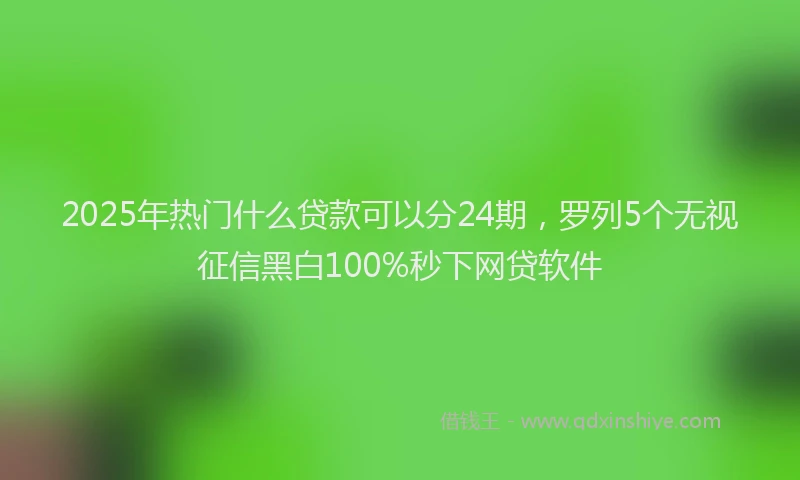 2025年热门什么贷款可以分24期，罗列5个无视征信黑白100%秒下网贷软件