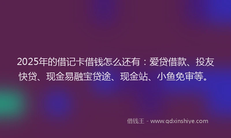 2025年的借记卡借钱怎么还有：爱贷借款、投友快贷、现金易融宝贷途、现金站、小鱼免审等。
