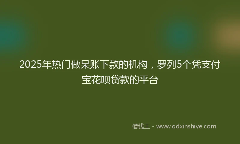 2025年热门做呆账下款的机构，罗列5个凭支付宝花呗贷款的平台