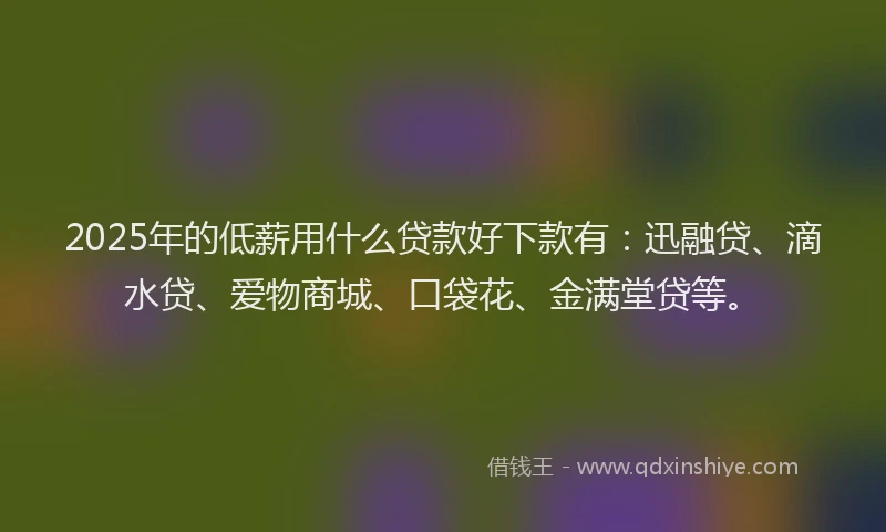 2025年的低薪用什么贷款好下款有：迅融贷、滴水贷、爱物商城、口袋花、金满堂贷等。