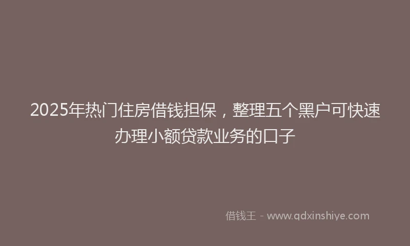 2025年热门住房借钱担保，整理五个黑户可快速办理小额贷款业务的口子