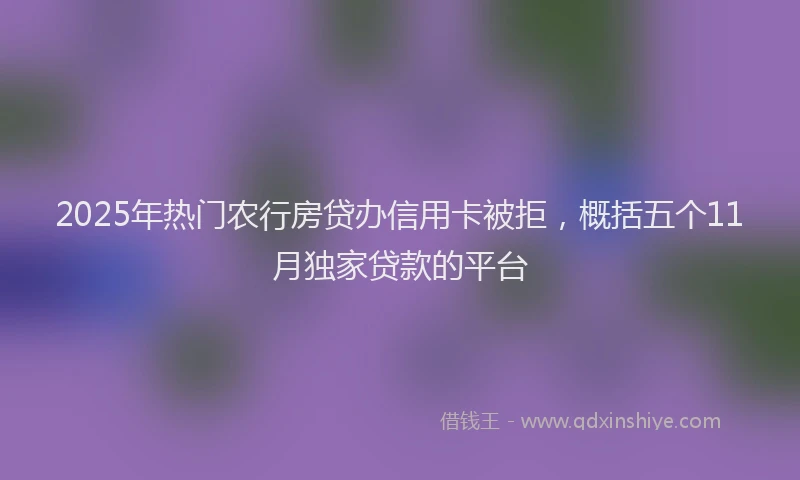 2025年热门农行房贷办信用卡被拒，概括五个11月独家贷款的平台