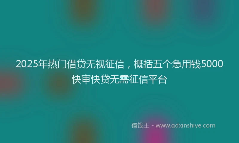 2025年热门借贷无视征信，概括五个急用钱5000快审快贷无需征信平台
