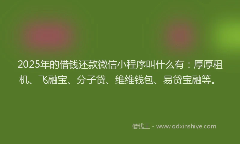 2025年的借钱还款微信小程序叫什么有：厚厚租机、飞融宝、分子贷、维维钱包、易贷宝融等。
