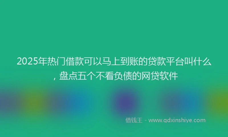 2025年热门借款可以马上到账的贷款平台叫什么，盘点五个不看负债的网贷软件