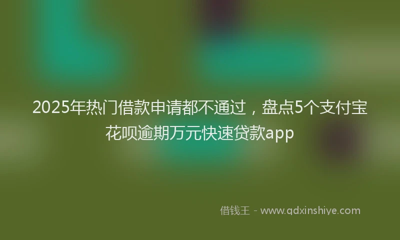 2025年热门借款申请都不通过，盘点5个支付宝花呗逾期万元快速贷款app