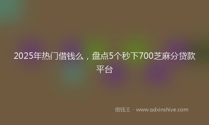 2025年热门借钱么，盘点5个秒下700芝麻分贷款平台