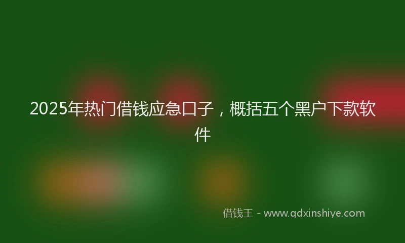 2025年热门借钱应急口子，概括五个黑户下款软件