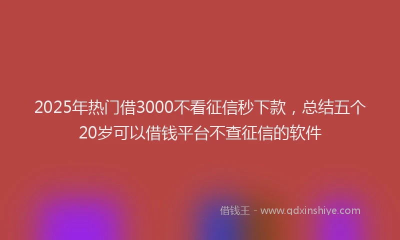 2025年热门借3000不看征信秒下款，总结五个20岁可以借钱平台不查征信的软件