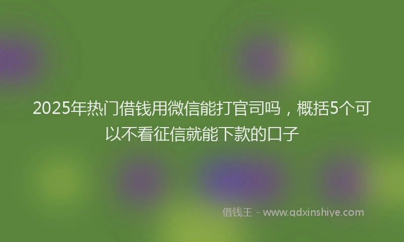 2025年热门借钱用微信能打官司吗，概括5个可以不看征信就能下款的口子