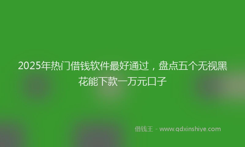 2025年热门借钱软件最好通过，盘点五个无视黑花能下款一万元口子