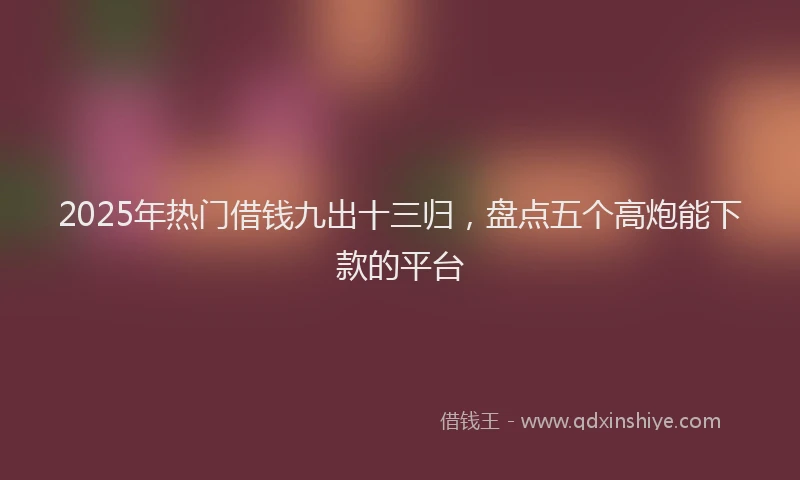 2025年热门借钱九出十三归，盘点五个高炮能下款的平台
