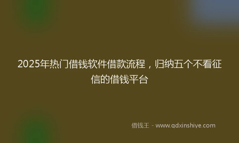 2025年热门借钱软件借款流程，归纳五个不看征信的借钱平台