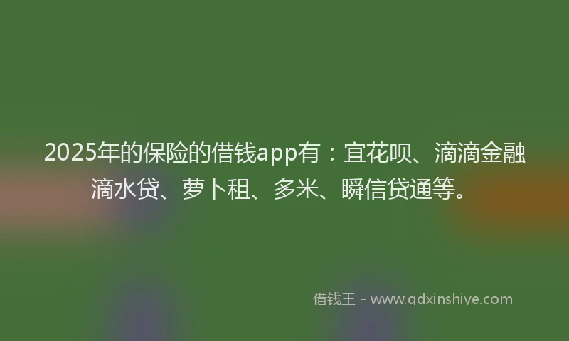 2025年的保险的借钱app有：宜花呗、滴滴金融滴水贷、萝卜租、多米、瞬信贷通等。