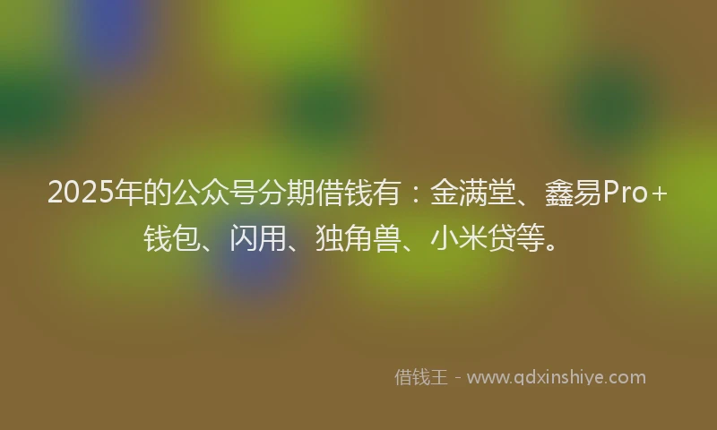 2025年的公众号分期借钱有：金满堂、鑫易Pro+钱包、闪用、独角兽、小米贷等。