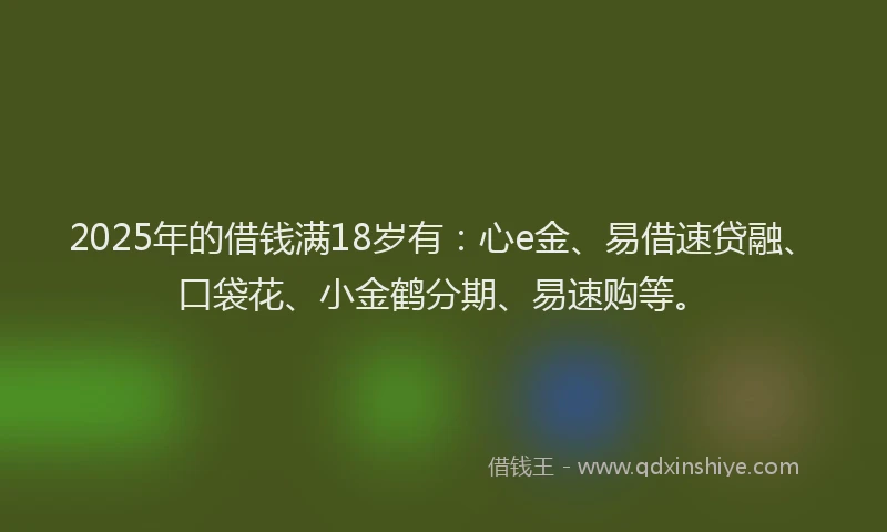 2025年的借钱满18岁有：心e金、易借速贷融、口袋花、小金鹤分期、易速购等。