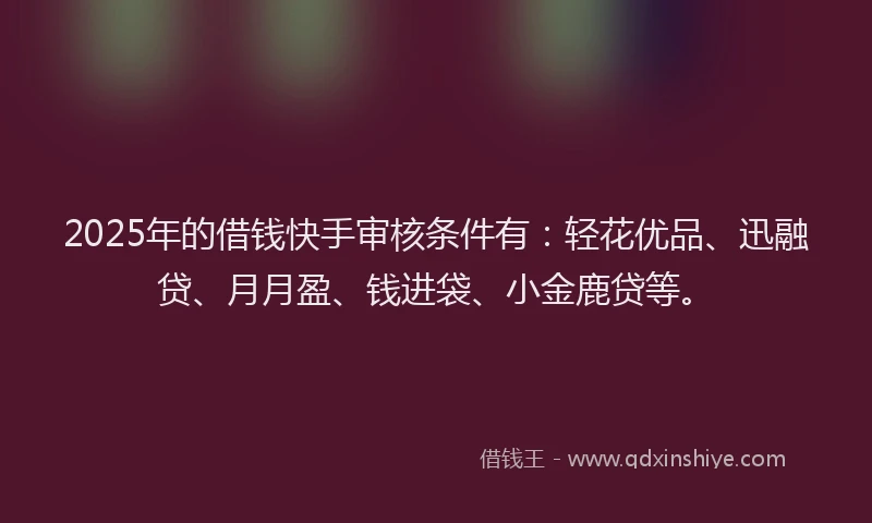 2025年的借钱快手审核条件有：轻花优品、迅融贷、月月盈、钱进袋、小金鹿贷等。