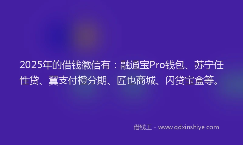 2025年的借钱徽信有：融通宝Pro钱包、苏宁任性贷、翼支付橙分期、匠也商城、闪贷宝盒等。