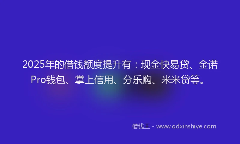 2025年的借钱额度提升有：现金快易贷、金诺Pro钱包、掌上信用、分乐购、米米贷等。
