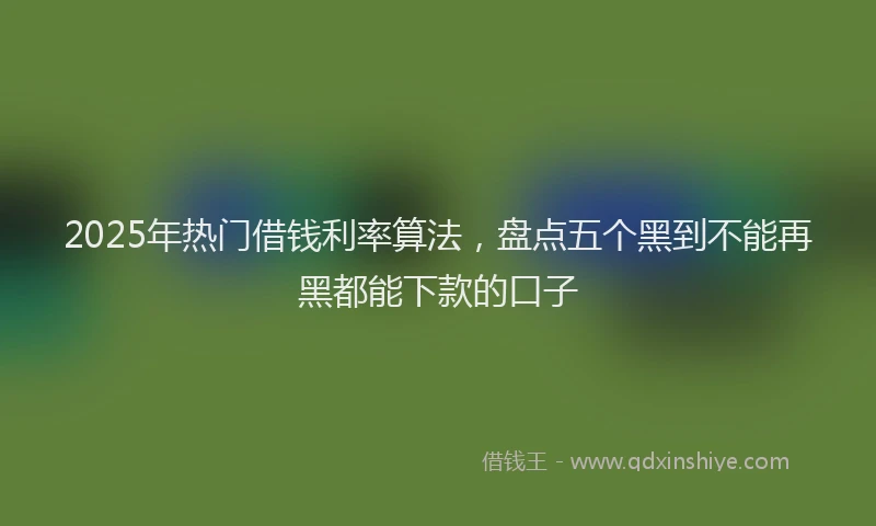 2025年热门借钱利率算法，盘点五个黑到不能再黑都能下款的口子