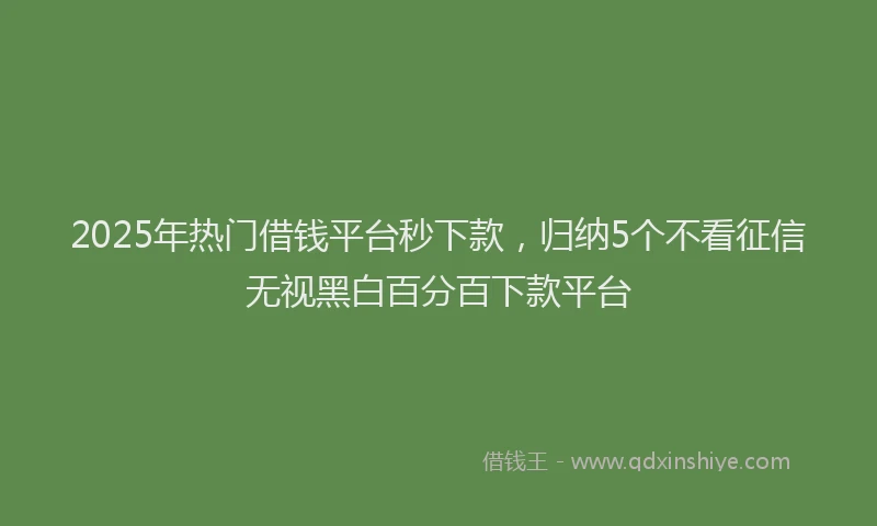 2025年热门借钱平台秒下款，归纳5个不看征信无视黑白百分百下款平台