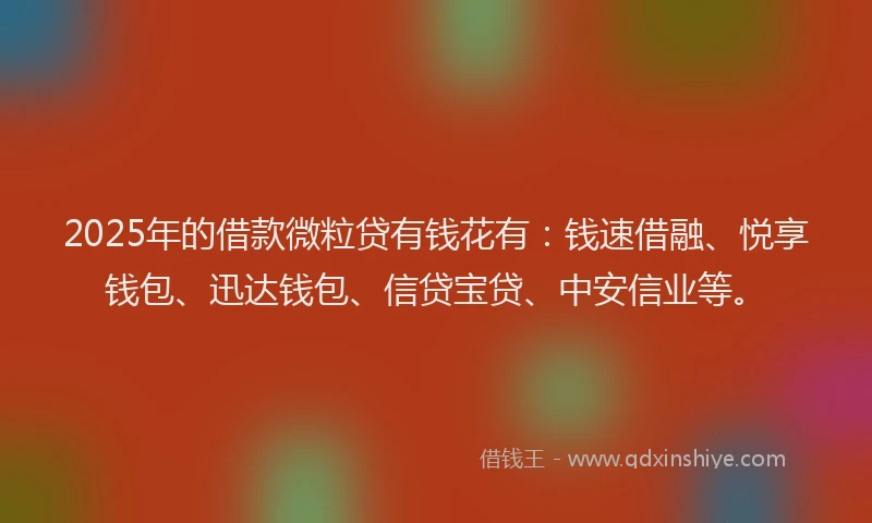 2025年的借款微粒贷有钱花有：钱速借融、悦享钱包、迅达钱包、信贷宝贷、中安信业等。