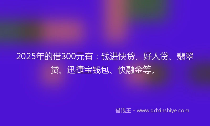 2025年的借300元有：钱进快贷、好人贷、翡翠贷、迅捷宝钱包、快融金等。