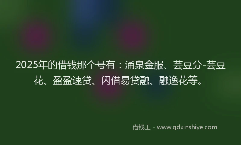 2025年的借钱那个号有：涌泉金服、芸豆分-芸豆花、盈盈速贷、闪借易贷融、融逸花等。