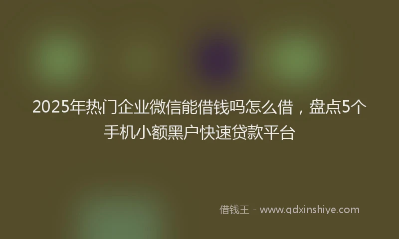 2025年热门企业微信能借钱吗怎么借，盘点5个手机小额黑户快速贷款平台
