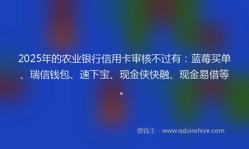2025年的农业银行信用卡审核不过有：蓝莓买单、瑞信钱包、速下宝、现金侠快融、现金易借等。