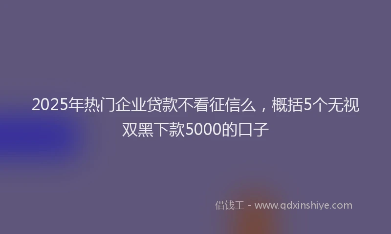 2025年热门企业贷款不看征信么，概括5个无视双黑下款5000的口子