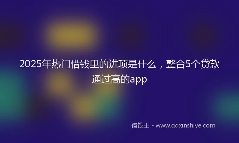 2025年热门借钱里的进项是什么，整合5个贷款通过高的app