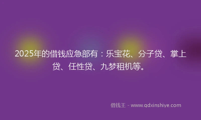 2025年的借钱应急部有：乐宝花、分子贷、掌上贷、任性贷、九梦租机等。