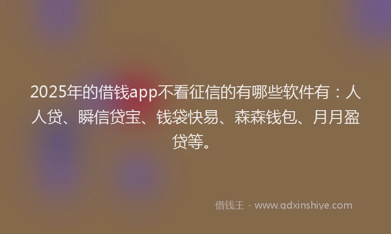 2025年的借钱app不看征信的有哪些软件有：人人贷、瞬信贷宝、钱袋快易、森森钱包、月月盈贷等。