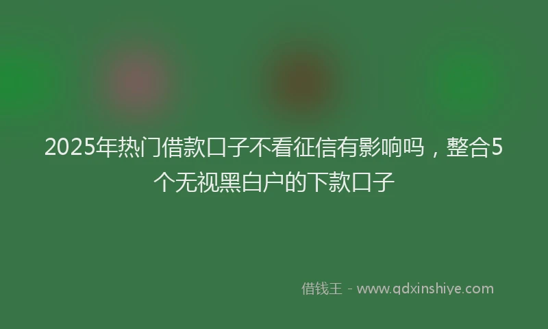 2025年热门借款口子不看征信有影响吗，整合5个无视黑白户的下款口子