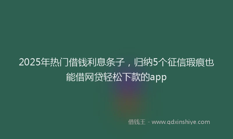 2025年热门借钱利息条子，归纳5个征信瑕疵也能借网贷轻松下款的app