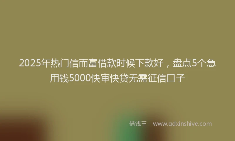 2025年热门信而富借款时候下款好，盘点5个急用钱5000快审快贷无需征信口子