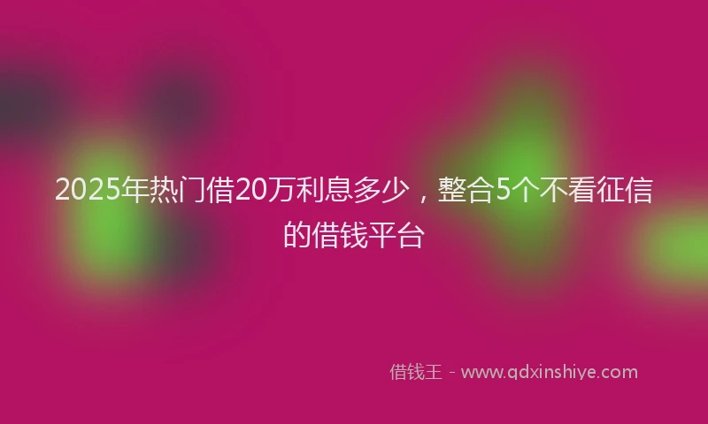 2025年热门借20万利息多少，整合5个不看征信的借钱平台