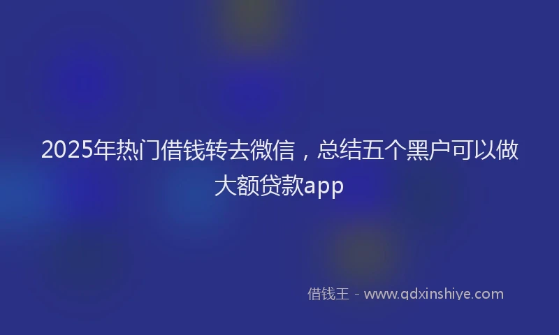 2025年热门借钱转去微信，总结五个黑户可以做大额贷款app