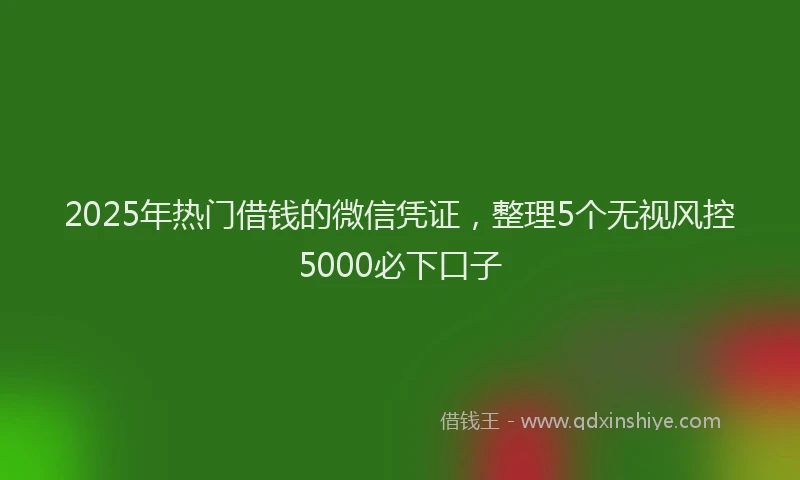 2025年热门借钱的微信凭证，整理5个无视风控5000必下口子